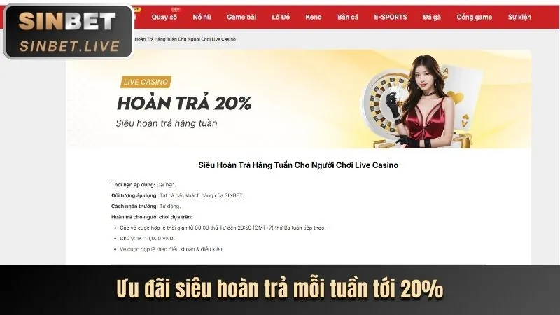 Chương trình hoàn trả hấp dẫn từ shbet800